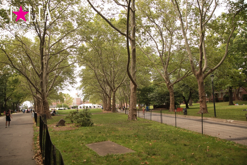 Отдых на Гувернер Айленде (Governors Island). Лучший скайлайн Нью-Йорка